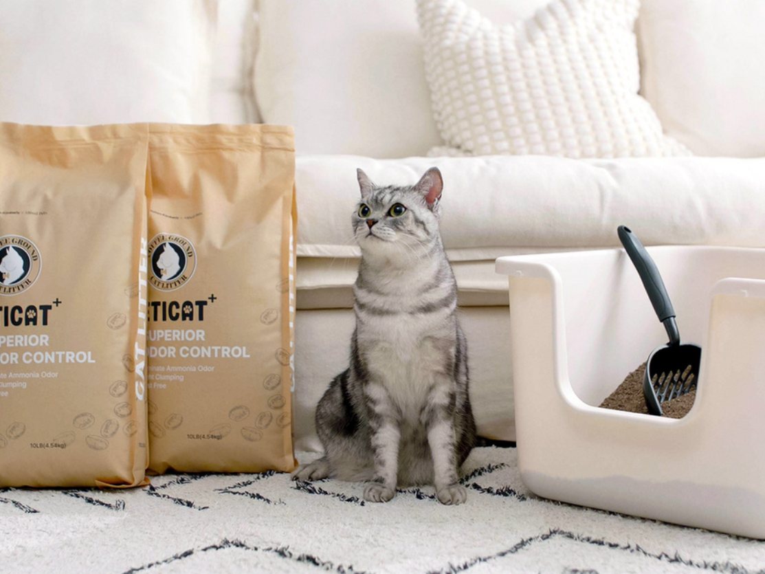 ETICAT+ 밝은 크라프트 봉투 2개와 고양이, 흰 화장실 — 2024